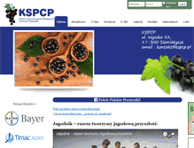 Tablet Screenshot of kspcp.pl